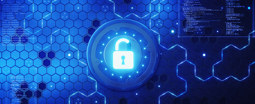 Information Security & Cyber Security Services for Public Sector